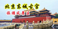 东北老女人操必中国北京-东城古宫旅游风景区